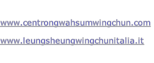 

www.centrongwahsumwingchun.com

www.leungsheungwingchunitalia.it


